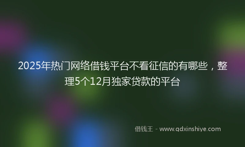2025年热门网络借钱平台不看征信的有哪些，整理5个12月独家贷款的平台