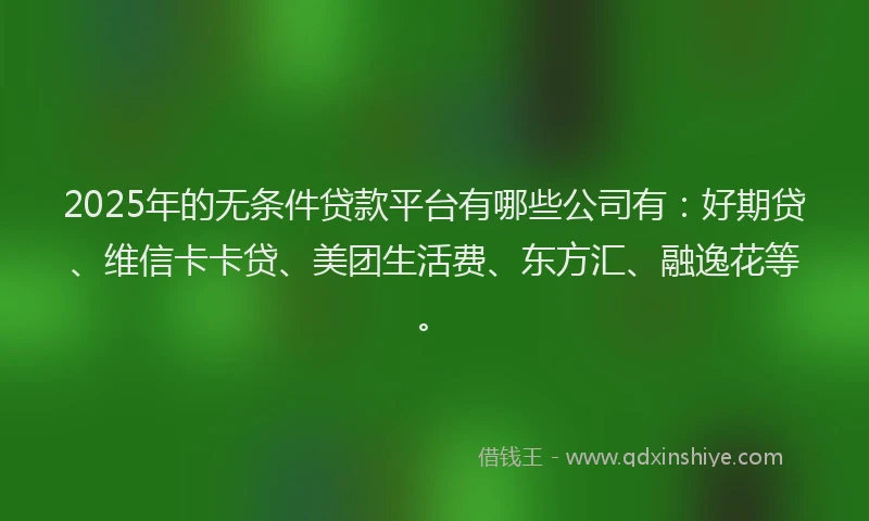 2025年的无条件贷款平台有哪些公司有：好期贷、维信卡卡贷、美团生活费、东方汇、融逸花等。