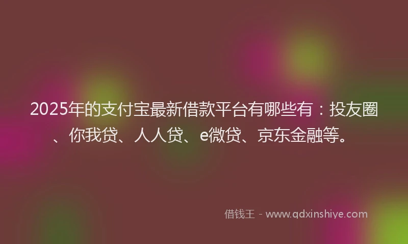 2025年的支付宝最新借款平台有哪些有：投友圈、你我贷、人人贷、e微贷、京东金融等。