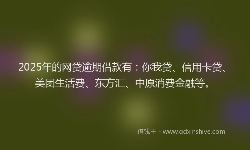 2025年的网贷逾期借款有：你我贷、信用卡贷、美团生活费、东方汇、中原消费金融等。