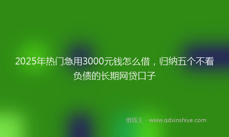 2025年热门急用3000元钱怎么借，归纳五个不看负债的长期网贷口子