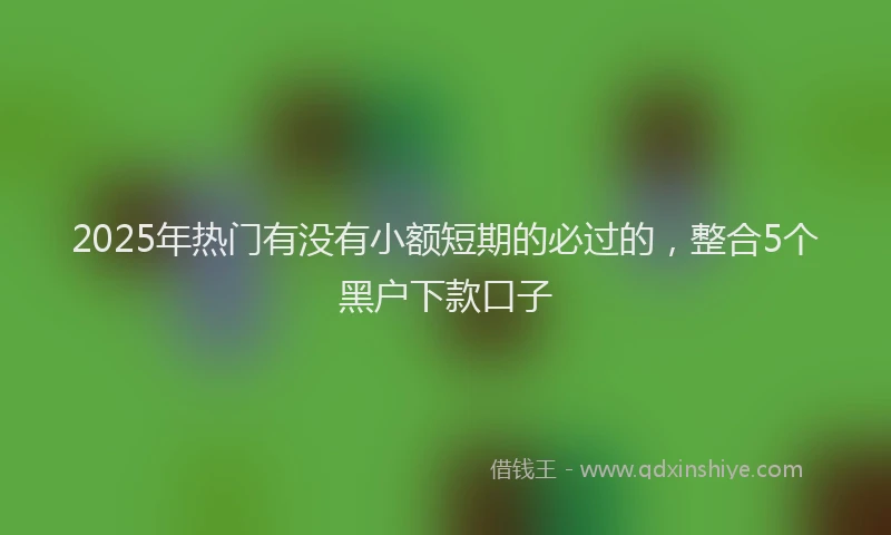 2025年热门有没有小额短期的必过的，整合5个黑户下款口子