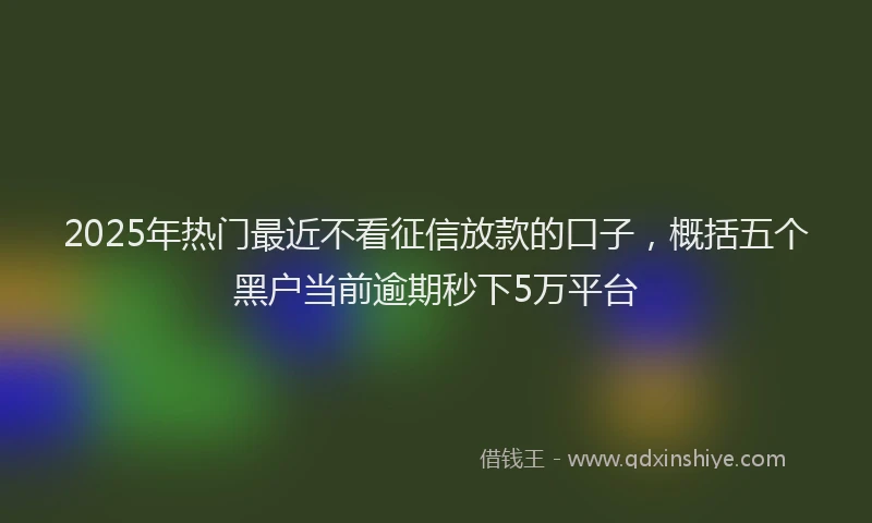 2025年热门最近不看征信放款的口子，概括五个黑户当前逾期秒下5万平台