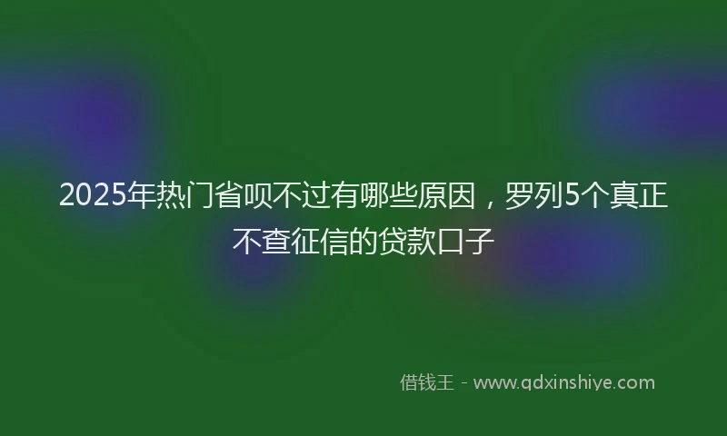 2025年热门省呗不过有哪些原因，罗列5个真正不查征信的贷款口子
