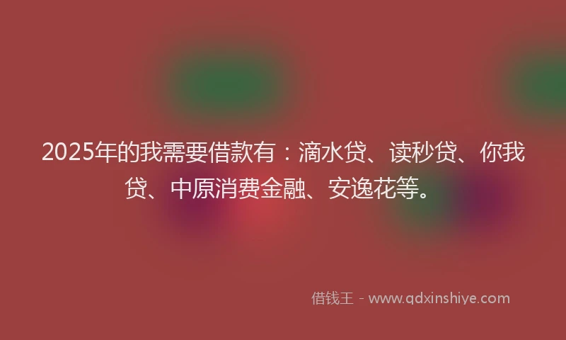 2025年的我需要借款有：滴水贷、读秒贷、你我贷、中原消费金融、安逸花等。