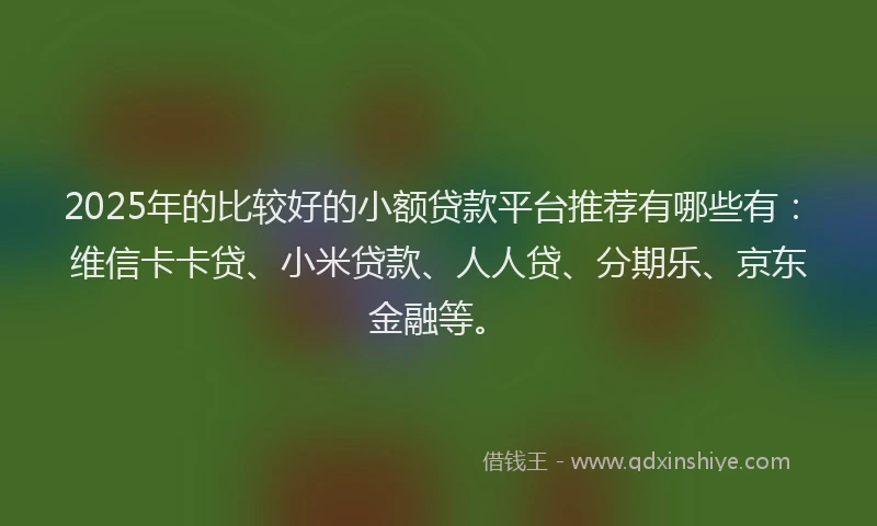 2025年的比较好的小额贷款平台推荐有哪些有：维信卡卡贷、小米贷款、人人贷、分期乐、京东金融等。