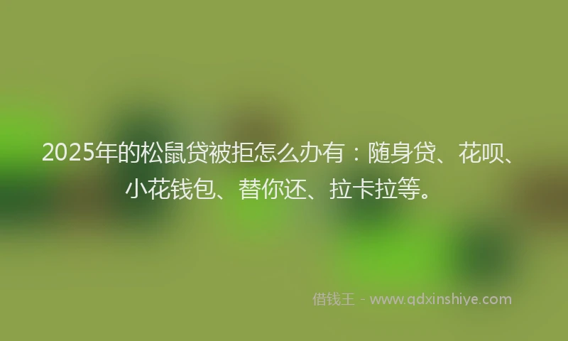 2025年的松鼠贷被拒怎么办有：随身贷、花呗、小花钱包、替你还、拉卡拉等。