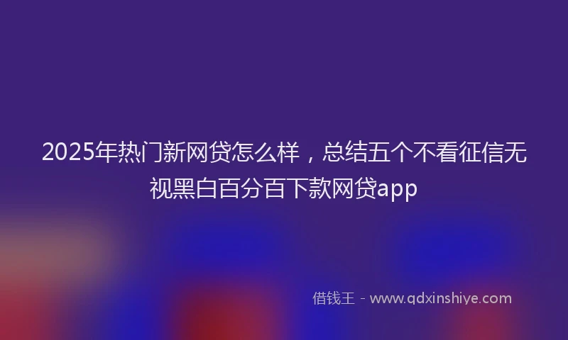 2025年热门新网贷怎么样，总结五个不看征信无视黑白百分百下款网贷app