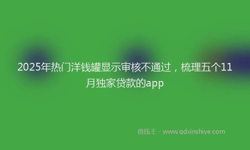 2025年热门洋钱罐显示审核不通过，梳理五个11月独家贷款的app