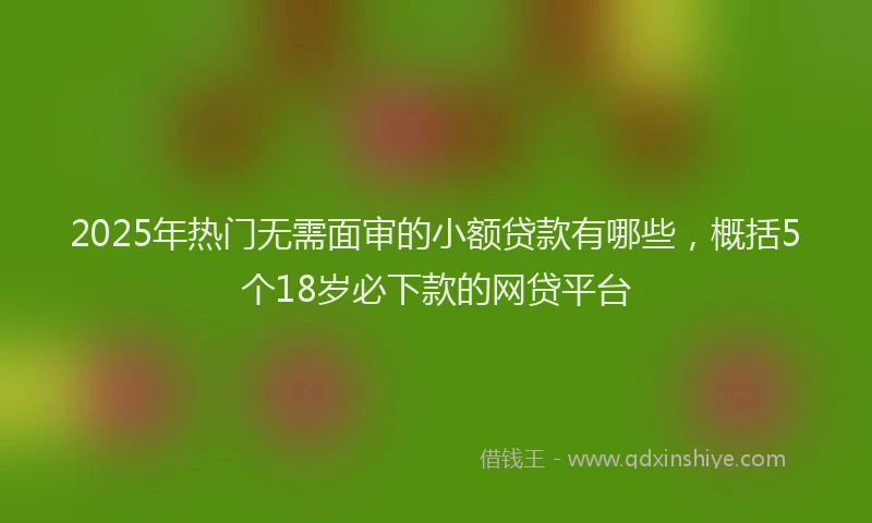 2025年热门无需面审的小额贷款有哪些，概括5个18岁必下款的网贷平台
