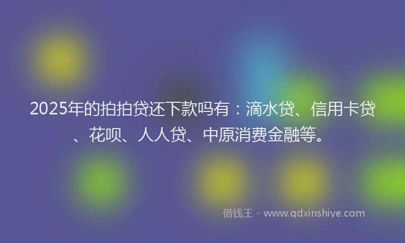 2025年的拍拍贷还下款吗有：滴水贷、信用卡贷、花呗、人人贷、中原消费金融等。