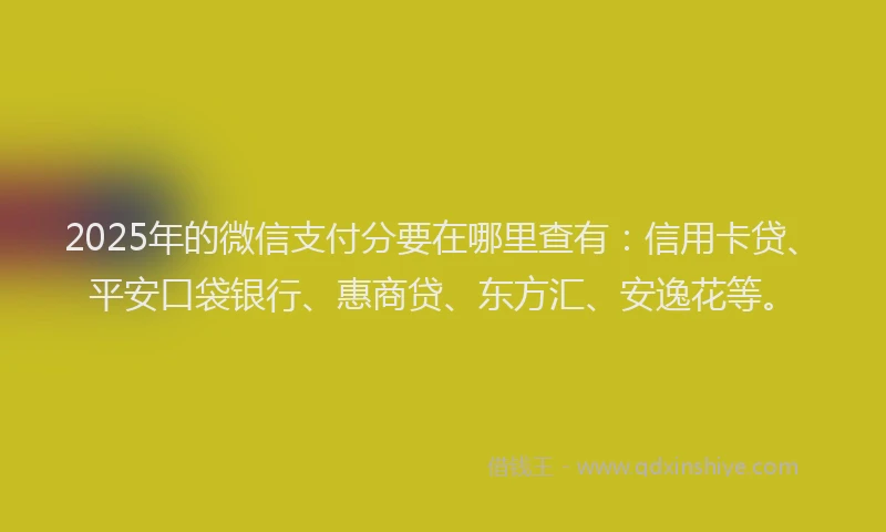 2025年的微信支付分要在哪里查有：信用卡贷、平安口袋银行、惠商贷、东方汇、安逸花等。