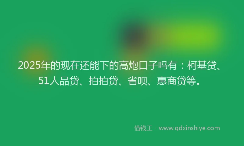 2025年的现在还能下的高炮口子吗有：柯基贷、51人品贷、拍拍贷、省呗、惠商贷等。