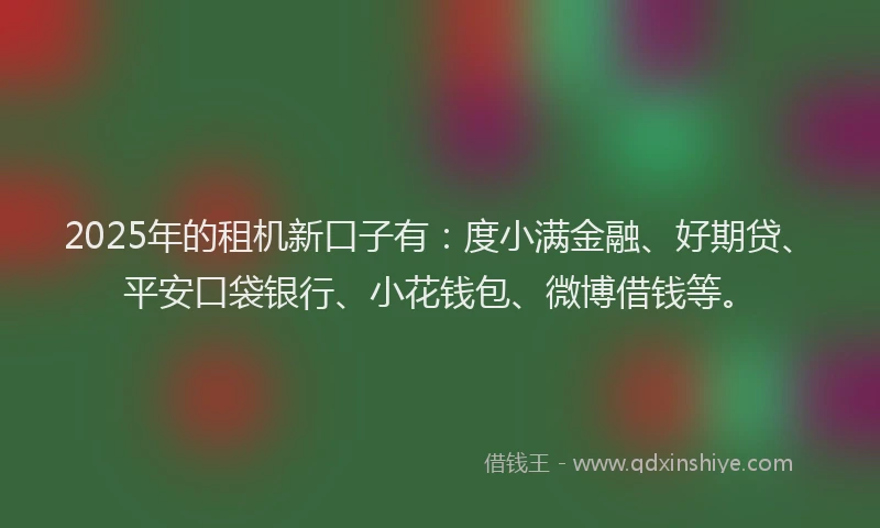 2025年的租机新口子有：度小满金融、好期贷、平安口袋银行、小花钱包、微博借钱等。