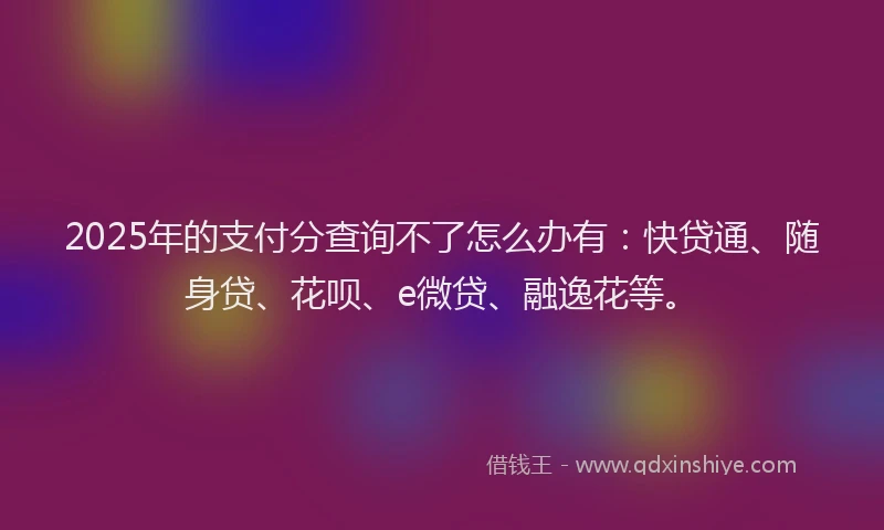 2025年的支付分查询不了怎么办有：快贷通、随身贷、花呗、e微贷、融逸花等。