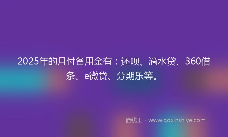2025年的月付备用金有：还呗、滴水贷、360借条、e微贷、分期乐等。