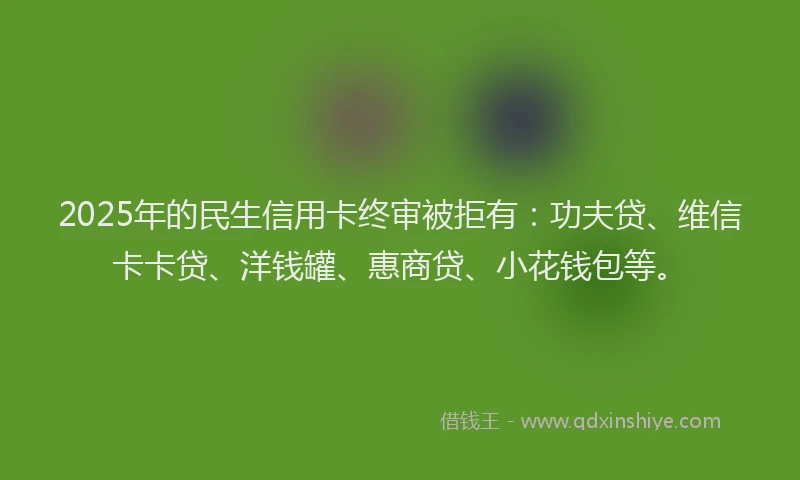 2025年的民生信用卡终审被拒有:功夫贷、维信卡卡贷、洋钱罐、惠商贷、小花钱包等。