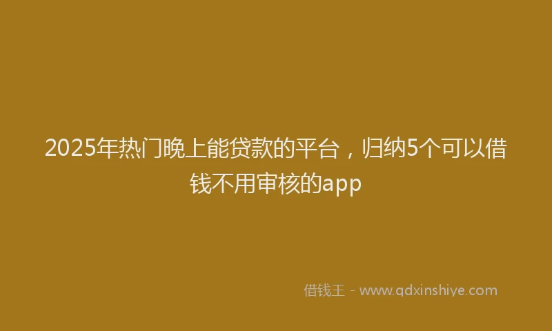 2025年热门晚上能贷款的平台，归纳5个可以借钱不用审核的app