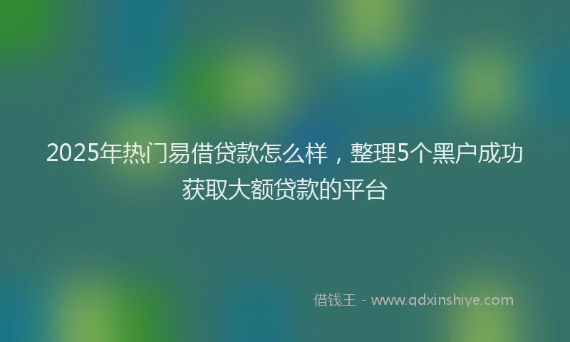 2025年热门易借贷款怎么样，整理5个黑户成功获取大额贷款的平台