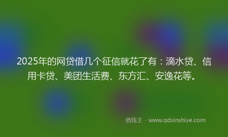 2025年的网贷借几个征信就花了有：滴水贷、信用卡贷、美团生活费、东方汇、安逸花等。