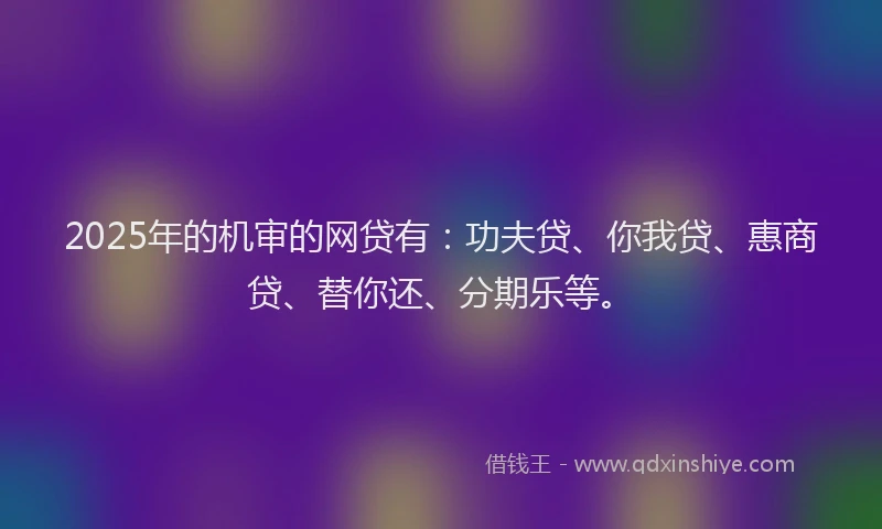 2025年的机审的网贷有：功夫贷、你我贷、惠商贷、替你还、分期乐等。