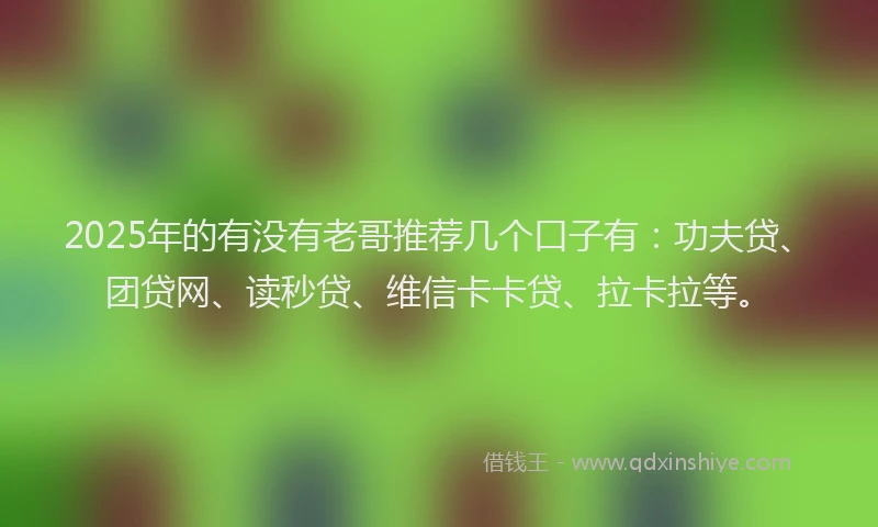 2025年的有没有老哥推荐几个口子有：功夫贷、团贷网、读秒贷、维信卡卡贷、拉卡拉等。