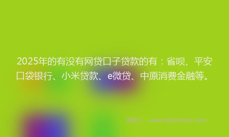 2025年的有没有网贷口子贷款的有：省呗、平安口袋银行、小米贷款、e微贷、中原消费金融等。