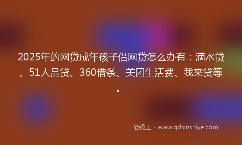 2025年的网贷成年孩子借网贷怎么办有：滴水贷、51人品贷、360借条、美团生活费、我来贷等。