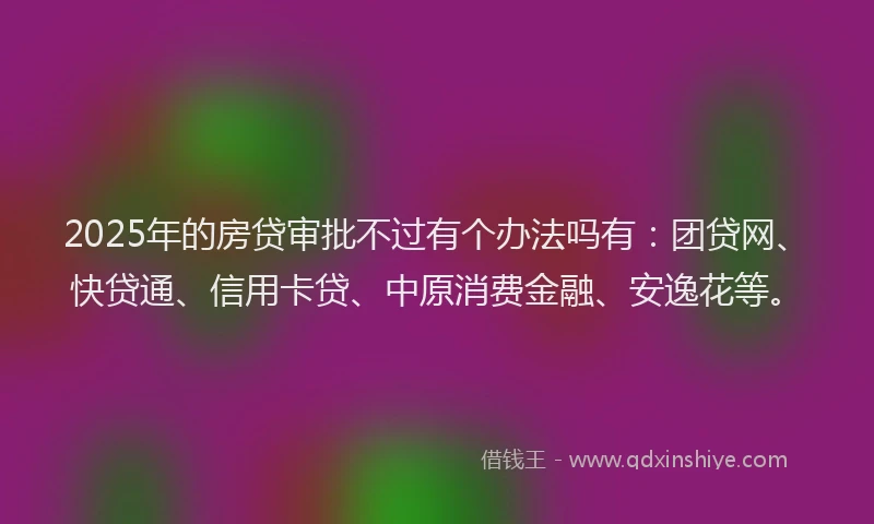 2025年的房贷审批不过有个办法吗有：团贷网、快贷通、信用卡贷、中原消费金融、安逸花等。