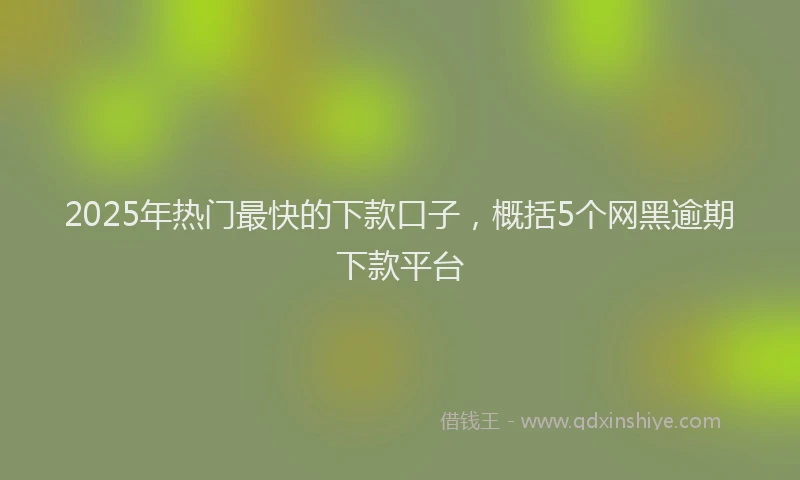 2025年热门最快的下款口子，概括5个网黑逾期下款平台