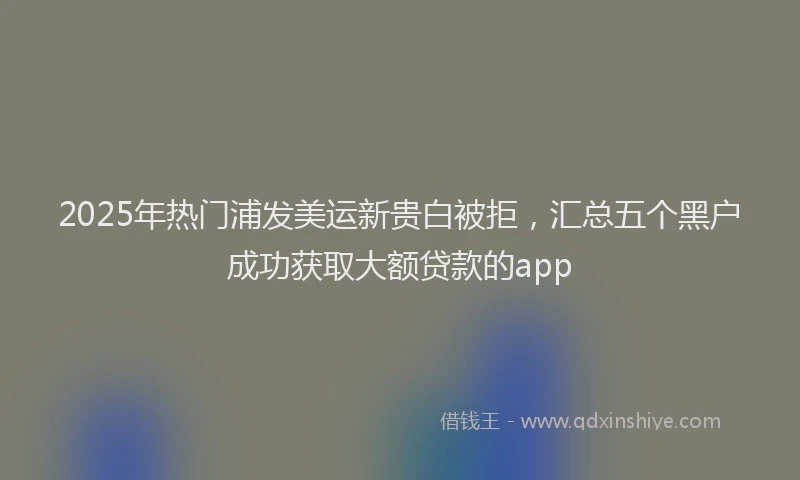 2025年热门浦发美运新贵白被拒，汇总五个黑户成功获取大额贷款的app