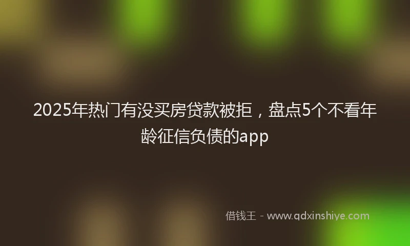 2025年热门有没买房贷款被拒，盘点5个不看年龄征信负债的app