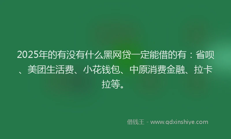 2025年的有没有什么黑网贷一定能借的有：省呗、美团生活费、小花钱包、中原消费金融、拉卡拉等。