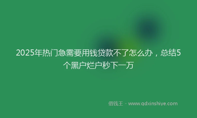 2025年热门急需要用钱贷款不了怎么办，总结5个黑户烂户秒下一万