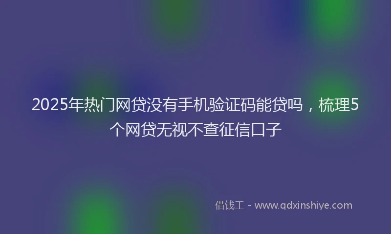 2025年热门网贷没有手机验证码能贷吗，梳理5个网贷无视不查征信口子