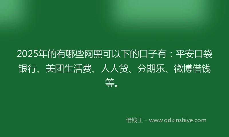2025年的有哪些网黑可以下的口子有：平安口袋银行、美团生活费、人人贷、分期乐、微博借钱等。