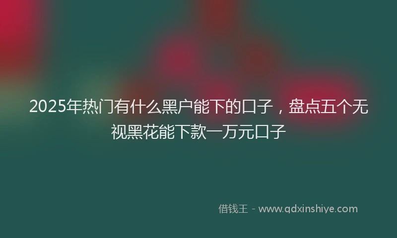 2025年热门有什么黑户能下的口子，盘点五个无视黑花能下款一万元口子