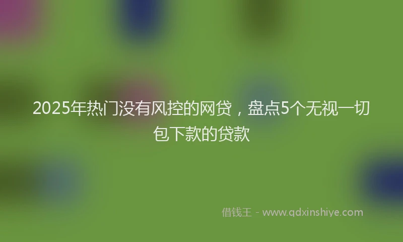 2025年热门没有风控的网贷，盘点5个无视一切包下款的贷款