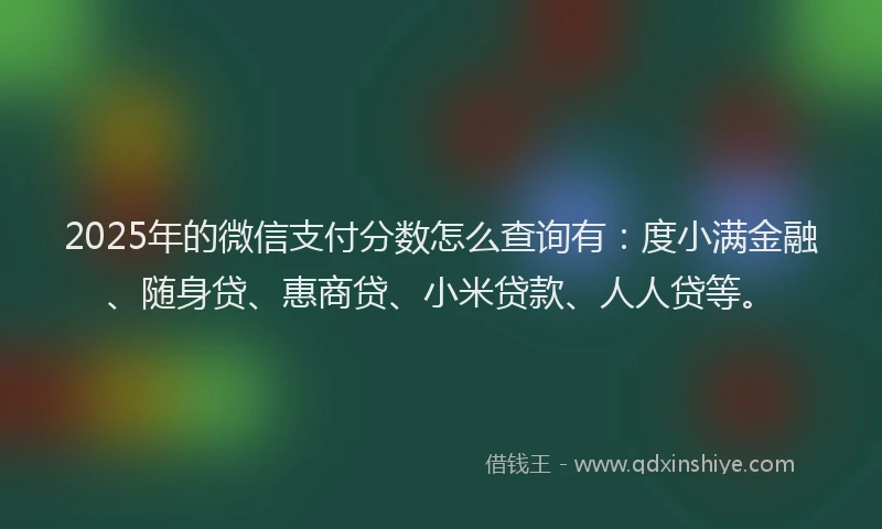 2025年的微信支付分数怎么查询有：度小满金融、随身贷、惠商贷、小米贷款、人人贷等。