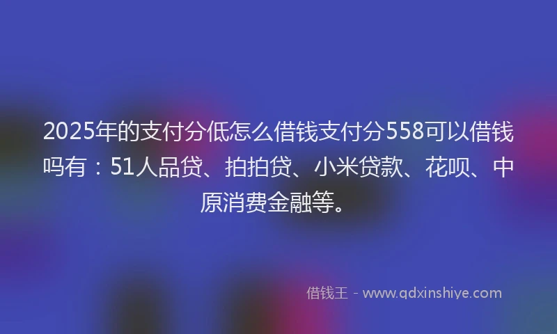 2025年的支付分低怎么借钱支付分558可以借钱吗有:51人品贷、拍拍贷、小米贷款、花呗、中原消费金融等。