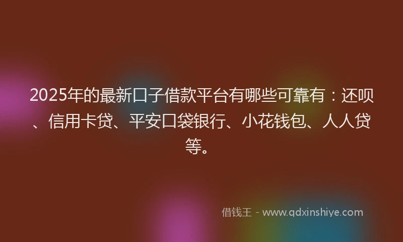 2025年的最新口子借款平台有哪些可靠有：还呗、信用卡贷、平安口袋银行、小花钱包、人人贷等。