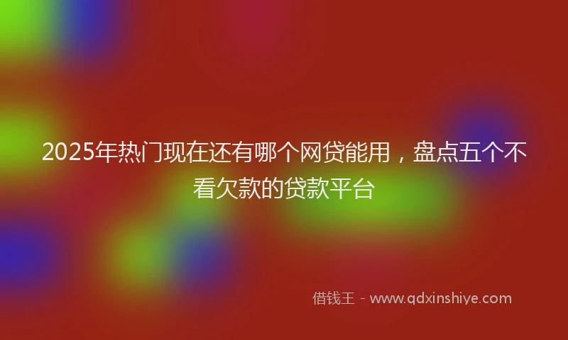 2025年热门现在还有哪个网贷能用，盘点五个不看欠款的贷款平台