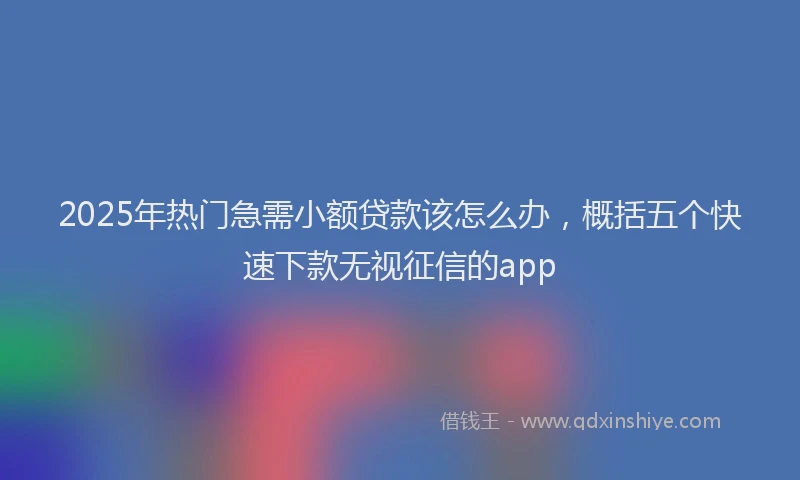 2025年热门急需小额贷款该怎么办，概括五个快速下款无视征信的app