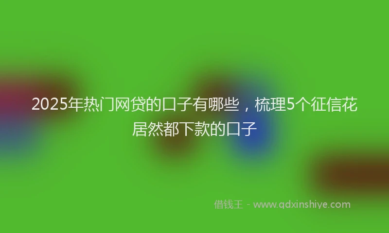 2025年热门网贷的口子有哪些，梳理5个征信花居然都下款的口子