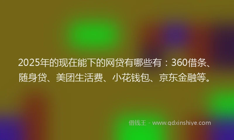 2025年的现在能下的网贷有哪些有：360借条、随身贷、美团生活费、小花钱包、京东金融等。