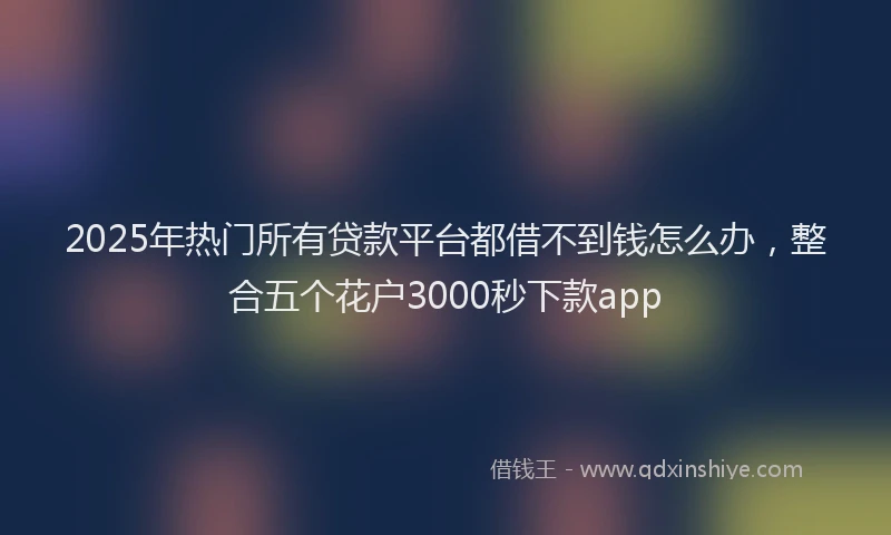 2025年热门所有贷款平台都借不到钱怎么办，整合五个花户3000秒下款app
