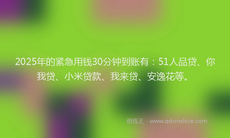 2025年的紧急用钱30分钟到账有：51人品贷、你我贷、小米贷款、我来贷、安逸花等。