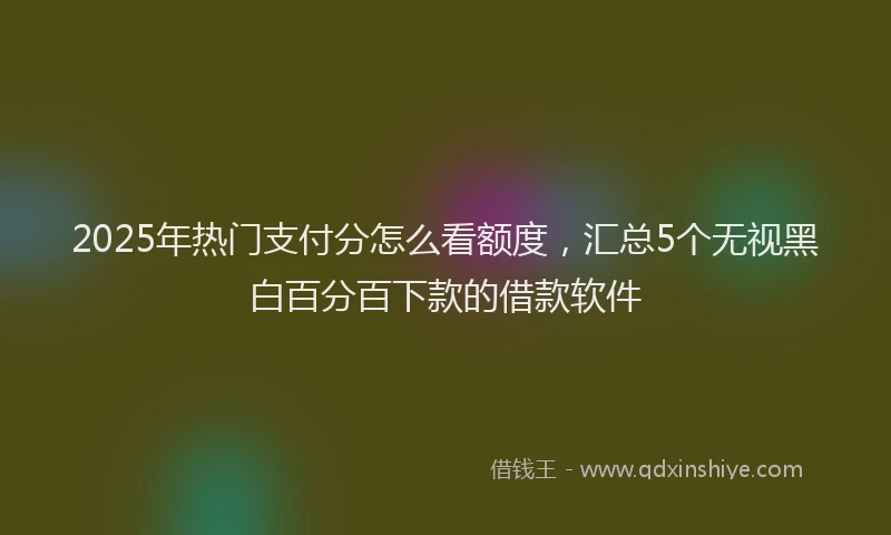2025年热门支付分怎么看额度，汇总5个无视黑白百分百下款的借款软件