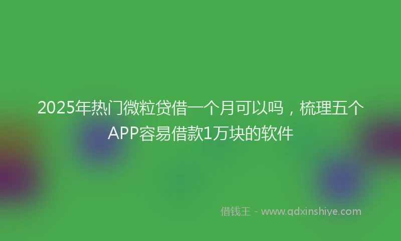 2025年热门微粒贷借一个月可以吗，梳理五个APP容易借款1万块的软件