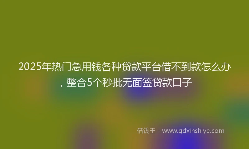 2025年热门急用钱各种贷款平台借不到款怎么办，整合5个秒批无面签贷款口子